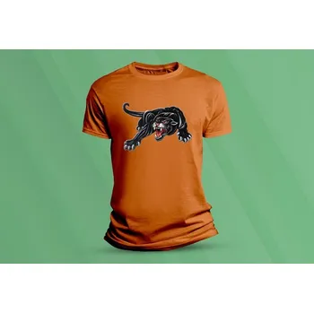 Chlapecké tričko Dětské bavlněné tričko Puma 2. velikost 116 (5-6 let) Oranžová