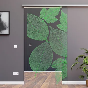 Interiérové dveře Amod Bolero skleněné posuvné dveře 775x2050 mm s mušlí