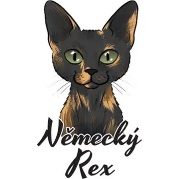 Samolepicí dekorace na vozidlo Samolepka na auto NĚMECKÝ REX