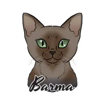 Samolepicí dekorace na vozidlo Samolepka na auto BARMA