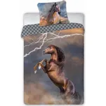 Povlečení Kůň brown 140x200 + 70x90 cm