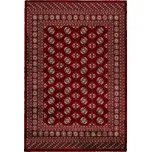 Kusový koberec Ariana 880 red 240 x 340 cm