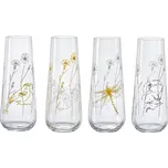 Crystalex Sklenice na prosecco MEADOW 4 x 250 ml
