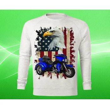 Pánská mikina mikina Harley Davidson VIII pánská M (mikina s motorkou)