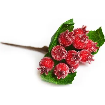 Zahradní dekorace Šípky, svazek, ojíněných, 16 cm