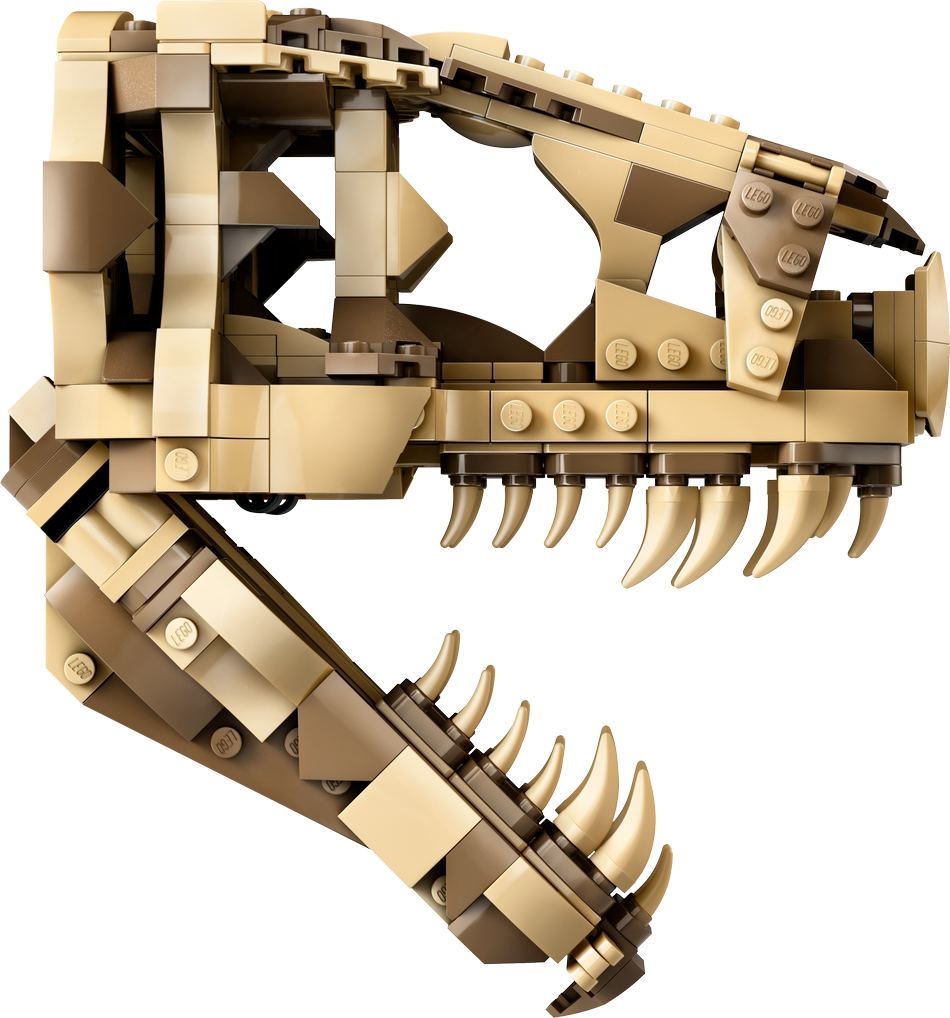 foto Stavebnice LEGO LEGO Jurassic World 76964 Dinosauří fosilie Lebka T-rexe