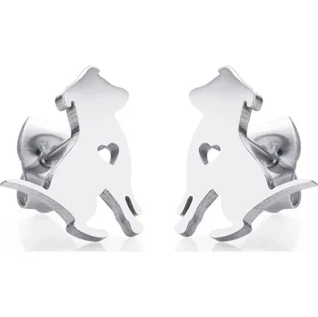 Náušnice Dámské náušnice z chirurgické oceli PERRITA