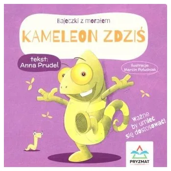 Pohádka Kameleon Zdziś - Anna Prudel