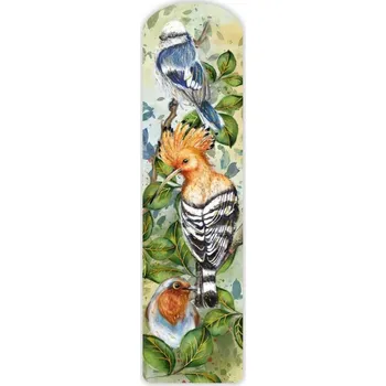 Set školních potřeb Zakładka tradycyjna Ptaki polskie