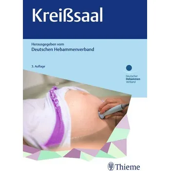 Kreißsaal - Deutscher HebammenVerband e.V. [DE] (2022, Taschenbuch, Georg Thieme Verlag)