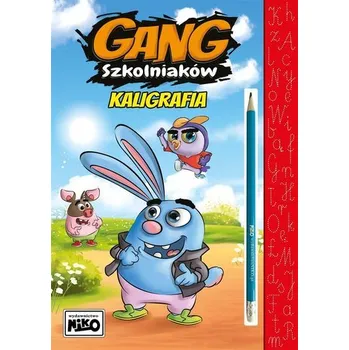 Cizojazyčná kniha Gang szkolniaków. Kaligrafia - Wydawnictwo NIKO