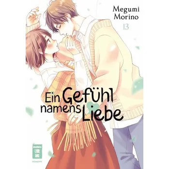 Komiks pro dospělé Ein Gefühl namens Liebe 13 - Morino, Megumi