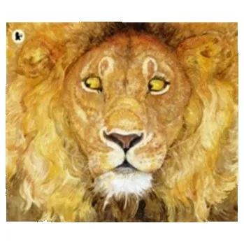 Pohádka The Lion and the Mouse - Pinkney, Jerry