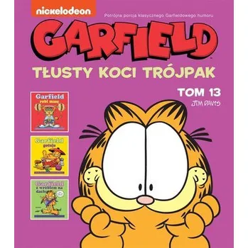 Garfield T.13 Tłusty koci trójpak - Davis Jim