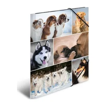 Archivační box Deska s gumičkou A3 karton - psi