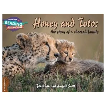 Cizí jazyk Honey and Toto: The Story of a Cheetah Family 1 Pathfinders - Scott, Jonathan