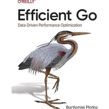 Technika Efficient Go - Plotka, Bartlomiej