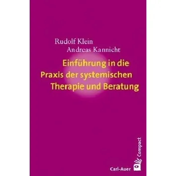 Einführung in die Praxis der systemischen Therapie und Beratung - Klein, Rudolf
