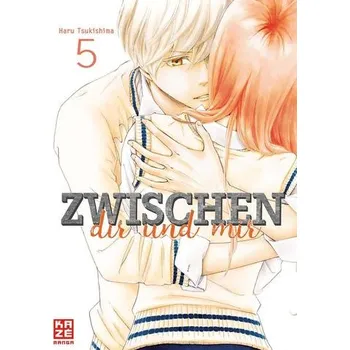 Komiks pro dospělé Zwischen dir und mir 05 - Tsukishima, Haru