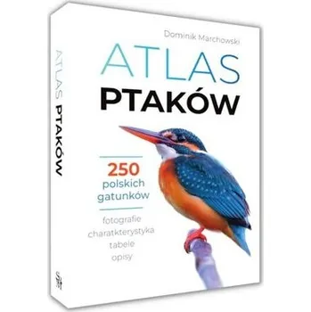 Encyklopedie Atlas ptaków - Marchowski Dominik