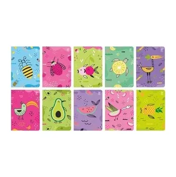 Set školních potřeb Zeszyt A5/32K kratka Fruits (10szt)