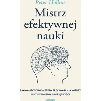 Mistrz efektywnej nauki - Hollins, Peter