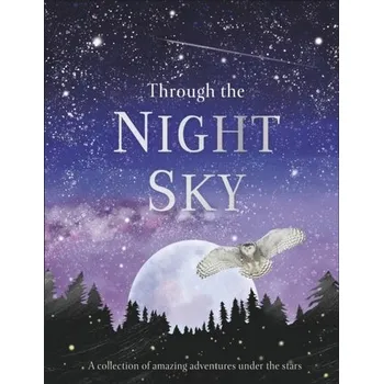 Through the Night Sky - DK