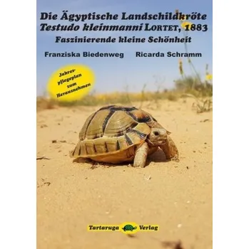 Die Ägyptische Landschildkröte Testudo kleinmanni Lortet, 1883 - Biedenweg, Franziska
