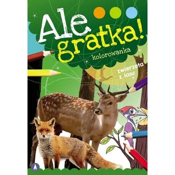 Bystrá hlava Ale gratka! Zwierzęta z lasu - Danuta Klimkiewicz, Maria Kwiecień Wydawnictwo Skrzat, Wiesław Drabik