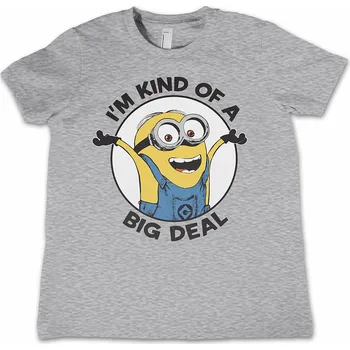 Karnevalový kostým Despicable Me tričko, I'm Kind Of A Big Deal Kids Grey, dětské XS velikost XS věk (4 roky)