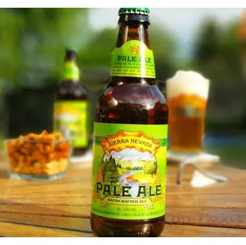 Pivo Sierra Nevada Pale Ale 0,355l