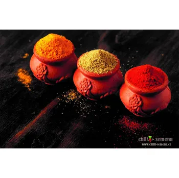 chilli-semena Himalájská sůl s chilli Jalapeno a medvědím česnekem