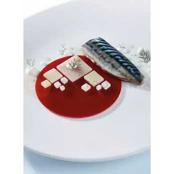 Kuchyňská sůl Silikonová forma na chuťovky 6x kruh 110x35 mm, 33 ml, 400x300 mm - GG003S | PAVONI, Disco Grande