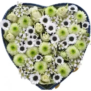 Dárková krabička Krabička květin SPRING SOPHIA červená 19x9cm