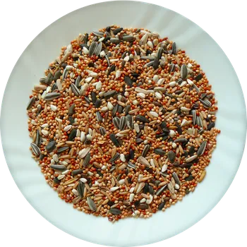 Krmivo pro ptáka Avicentra Malý papoušek Classic menu 5kg