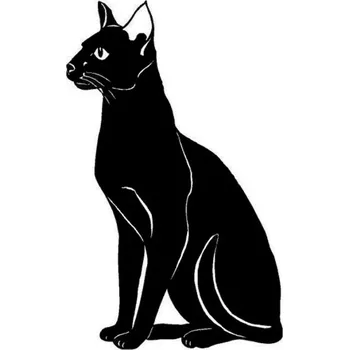 Samolepící dekorace Nálepka na automobil č.11