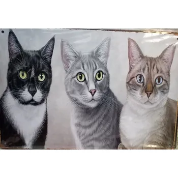 Plechová cedule Plechová cedule- kočky domáci