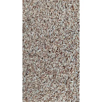 Pro ptáka Fauna Hradil Oves nahý Hmotnost: 5 kg