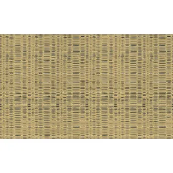 Tapeta Emiliana Parati Luxusní zlatá vliesová tapeta, 86034, Valentin Yudashkin 5, Emiliana Parati, velikost 10,05 x 1,06 m