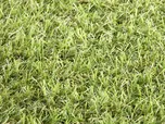 Lano Natural Green umělá tráva šíře 5 m