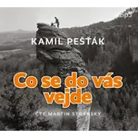 Co se do vás vejde - Kamil Pešťák (čte…