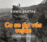 Co se do vás vejde - Kamil Pešťák (čte…
