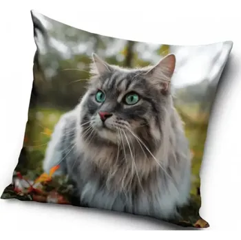 Dekorativní polštářek Povlak na polštář Sibiřská kočka, 40x40cm (Dekorační povlak na polštářek s kočkou, kočka)