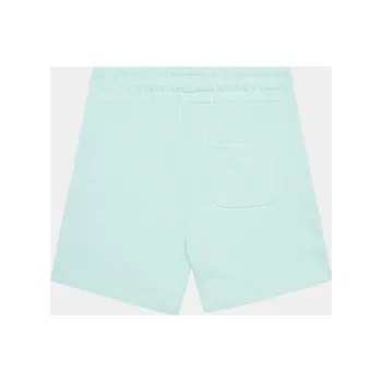 Dámské oblečení Guess Sportovní kraťasy N4GD04 KA6R3 Modrá Relaxed Fit 6Y