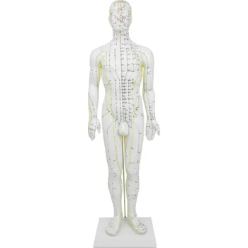 Klasický akupunkturní model