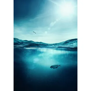 Plakát Plakát, Obraz - Fish in sea, SEAN GLADWELL