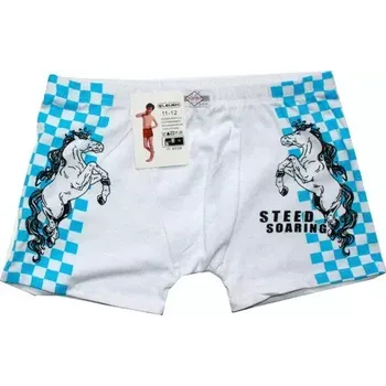 Dětské trenýrky bavlněné DVA KONĚ 4038/4045 bílé