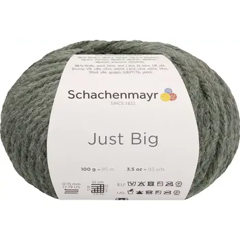 Příze Schachenmayr Just Big 70 Salbei meliert (Objemová příze Just Big Šalvějivý melír 100g)