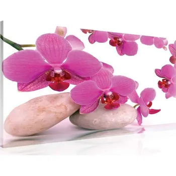 Obraz Postershop Obraz na plátne: Orchidej a kameny - 75x100 cm