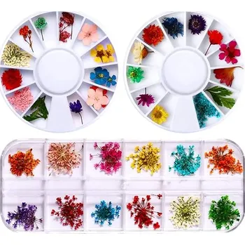 Přírodní sušené květiny na zdobení nehtů